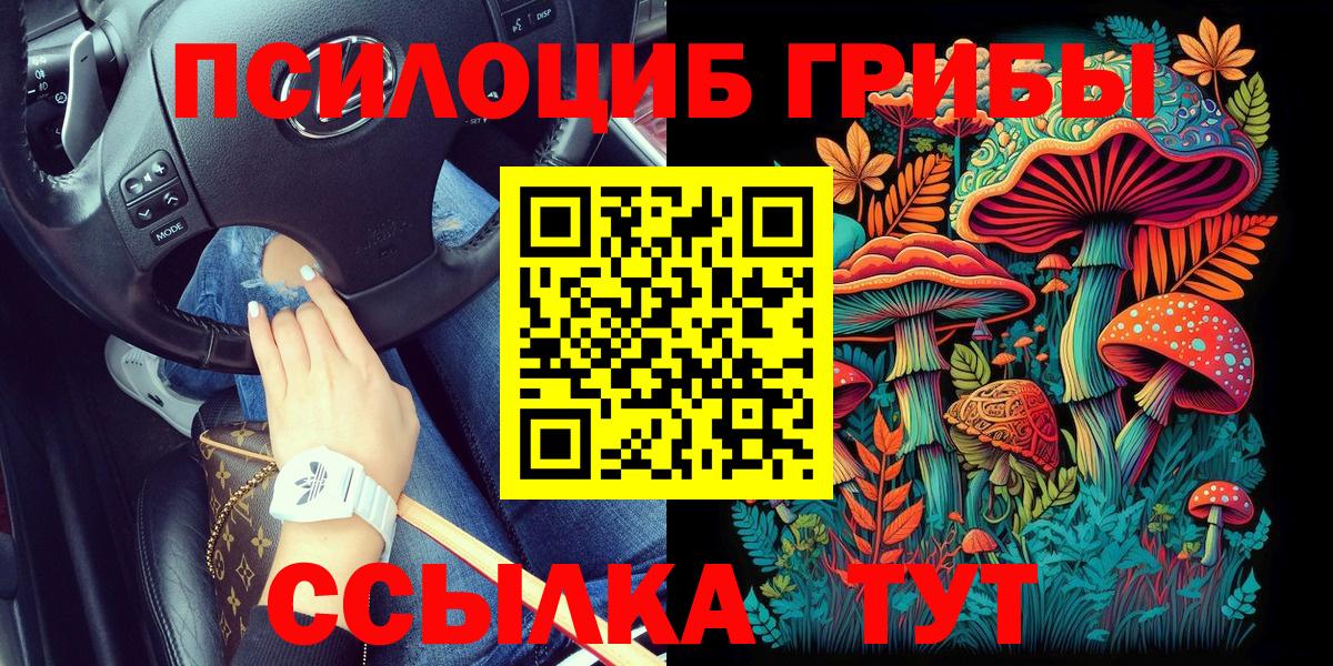 Псилоцибиновые грибы Cubensis Фрязино