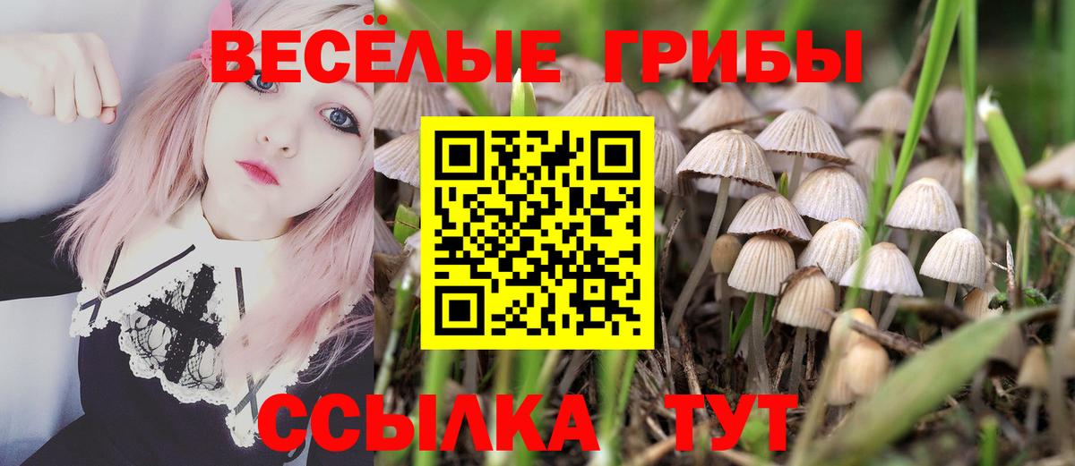 Фрязино  Псилоцибиновые грибы мухоморы  Вход с VPN 
